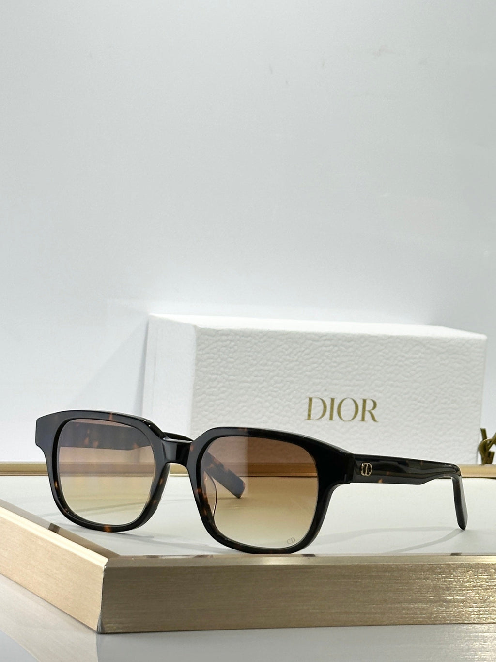 Dior CD Icon S4F Sunglasses